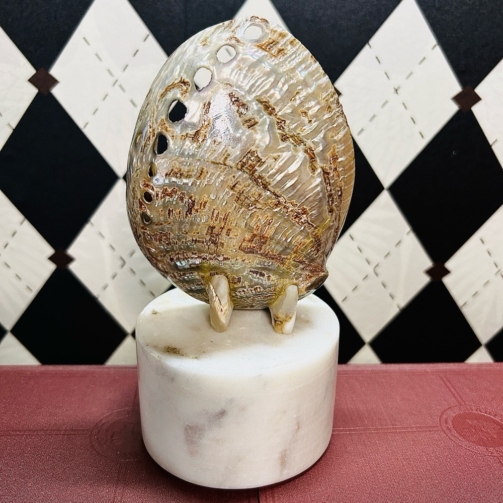 Mother-of-Pearl Nativity Scene Shell – Hand-Carved Sacred Elegance| Abalone - Picture 3 of 16